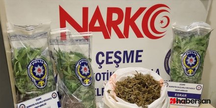 İzmir'in Çeşme ilçesine bağlı bir evde kurulan serada Hint keneviri yetiştirdikleri iddiasıyla 2 kişi tutuklandı!