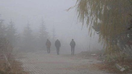 Türkiye'de Hava: Güneşli günler, Kuzeyde sis tehlikesi