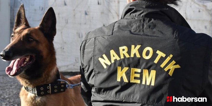 Narkotik operasyonlarında bir haftaiçerisinde 3 bin 83 zanlı yakalandı