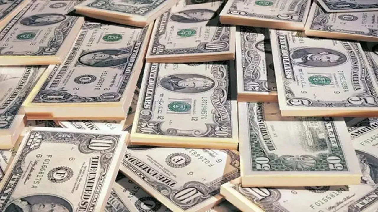 Merkez Bankası'nın Faiz kararı Dolar ve Euro'yu Zirveye taşıdı