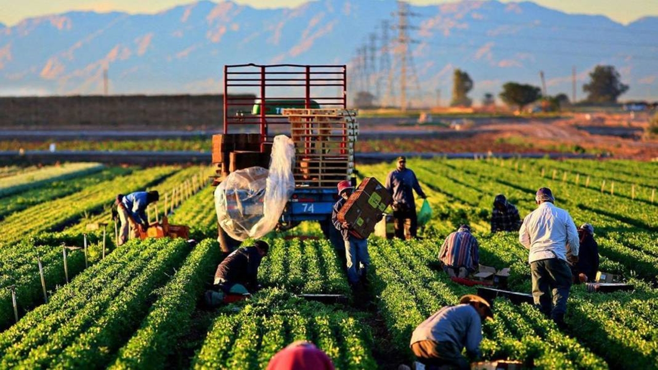 Tarımda büyük yenilik: 3 Yıllık destekleme modeli duyuruldu